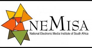 NEMISA Internships 