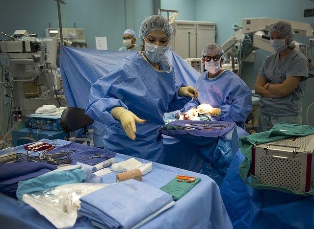 What Are The Requirements To Study Nursing In South Africa Travel Gists